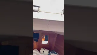 Great view of the sail trim from the bed!!  #ourladydefiant #boat #sailing #liveaboardlife