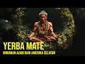 Download Lagu Yerba Mate: Minuman Ajaib dari Amerika Selatan
