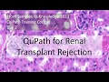 Practical applications of multiplex analysis in QuPath