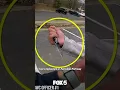 shows 16-year-old stab Fairfax County police officer