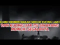 Lagu Jiwa Terpilih 🌟 Kebaikan yang Kamu Lakukan Sampai ke Seseorang yang Tak Pernah Kamu Duga…
