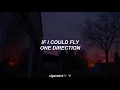 if i could fly // one direction - español.