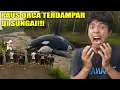 Download Lagu WARGA PANIK! ADA IKAN PAUS ORCA GIGAS TERDAMPAR DI SUNGAI?!
