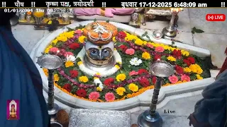 #17Dec25 #लाइव प्रातः #दर्शन श्री #त्र्यंबकेश्वर_ज्योतिर्लिंग #Live Shri #Trimbakeshwar_Jyotirlinga