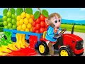 Download Lagu Monyet Bon Bon Imut menjelajahi kolam air di dalam rumah dan hujan permen pelangi yang ajaib