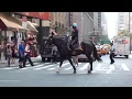 What It Looked Like in 2012 - Central Park Ranger Footage in New York City USA