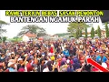 Download Lagu Ngamuk Parah Sampai Terjun Bebas❗️ Bantengan Jaranan Rogo Samboyo Putro Live Waung Sukorame Kediri