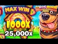 MAX WIN On DOG HOUSE MEGAWAYS 1000 25 000X