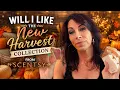 Scentsy Harvest 2026 bars first sniff will I even like them