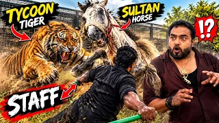 Tycoon aur sultan dangerous attack on Sufiyan 😱mera has has kay bura hal😂(Mian Saqib)