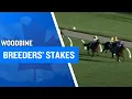 2025 400 000 Breeders Stakes at Woodbine