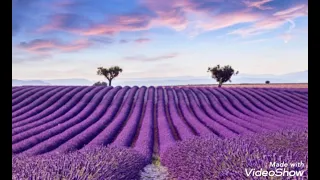 مضناك جفاه كاريوكي الحان محمد عبد الوهاب اشعار احمد شوقي 