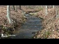 Uncover Your Paradise 120 Acres of Natural Bliss Await in Nelson County VA