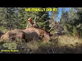 Elk Hunting The Black Hills Of South Dakota Once In A LIFETIME