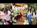 Download Lagu NUNCA nos habían TRATADO ASI en un HOTEL 🏩🍜🥢  Japón ¿ES ASI?