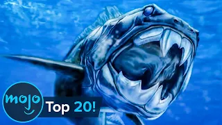 top 20 most incredible prehistoric sea monsters