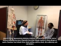 Pharmacology Project - Advil Cold and Sinus