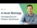 Introduction to Protein Synthesis A-level Biology OCR AQA Edexcel