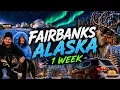 I Spent 5 Days in Fairbanks Alaska Here s What Happened