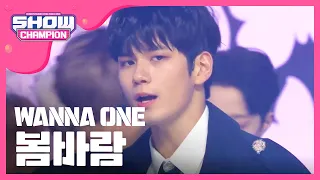 Download [Show Champion] 워너원 - 봄바람 (Wanna One - Spring Breeze) l EP.294 MP3