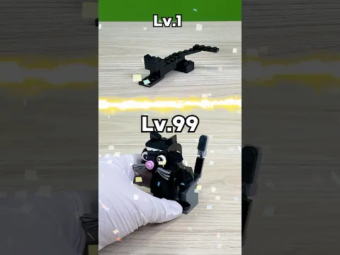 Lv.1 VS Lv.99
