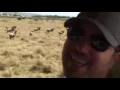 Chassidishe Safari