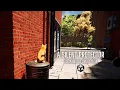 3D Animated Short Film in Unity A Silent Protector