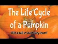 The Life Cycle of a Pumpkin Read Aloud