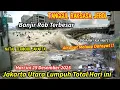 TANGGUL JEBOL JAKUT LUMPUH TOTAL ! AIR LAUT NAIK JAKARTA HARI INI, BANJIR ROB TERBESAR JAKARTA