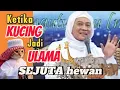 Lagu KISAH KUCING JADI ULAMA SEJUTA UMAT‼️