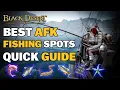 BDO Highest Passive Income 1Bil Every Night - Best AFK Fishing Spots Quick Guide