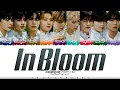 CORRECT ZEROBASEONE - In Bloom Color Coded
