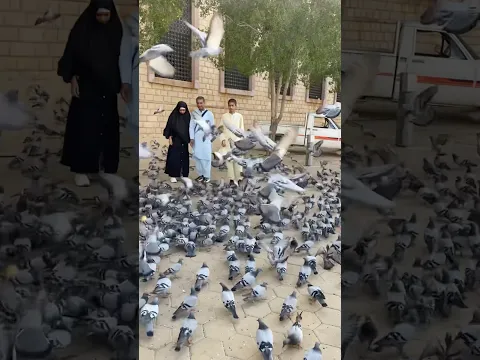 ALLAH humai bhi Hajj ki Sadat naseeb farmaay AMEEN 🕋