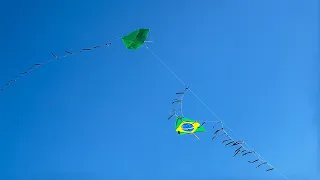 O PIPA do Brasil 🇧🇷 não durou 1 minuto no maior festival de SP!