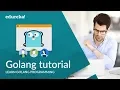 Go Programming Language Tutorial Golang Tutorial For Beginners Go Language Training Edureka