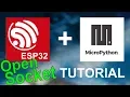 This Changes Everything - ESP32 Micropython Open Socket Tutorial with Code