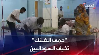 آلاف الإصابات شبح حمى الضنك يلاحق السودانيين في 13 ولاية 