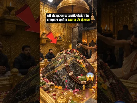 श्री केदारनाथ ज्योतिर्लिंग के साक्षात दर्शन🔱😲 ध्यान से देखना #Kedarnath #shortsfeed #mahadev #viral