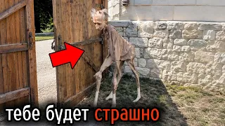 Самые Ужасные Видео со Всего Мира #137