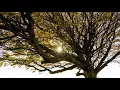 Childsplay feat. IAMDDB - Ten Poets