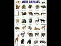 Download Lagu Wild Animals Name 🦁#education #mk #shorts #wild @learnwithmk5825