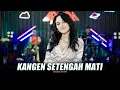 Download Lagu ARLIDA PUTRI - KANGEN SETENGAH MATI (Official Live Music Video)