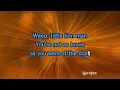 Little Lion Man - Mumford & Sons | Karaoke Version | KaraFun