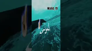 صحاب الكيتمان من دولة لدولة 