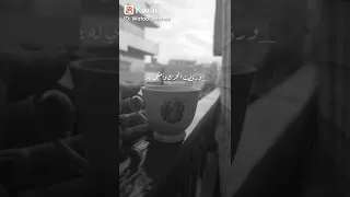 الوحدة صحيح صعبة ولكن وأنا يعني لقيت حد أحكيله وأنا يعني لقيت حد يقرب فارس قطريه 