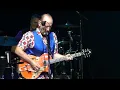 Men at Work Live 2022 🡆 Who Can It Be Now 🡄 Aug 14 ⬘ Sugar Land, TX