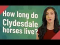 How long do Clydesdale horses live
