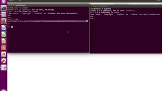 python 3 All integers are implemented as long integer objects