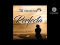 Banda Los Recoditos - Perfecta (Audio)