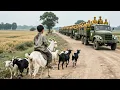 Download Lagu 日軍抓放羊小夥帶路，怎料進入八路軍的埋伏圈，殺的日軍片甲不留！⚔ 抗日丨戰爭丨Kung Fu